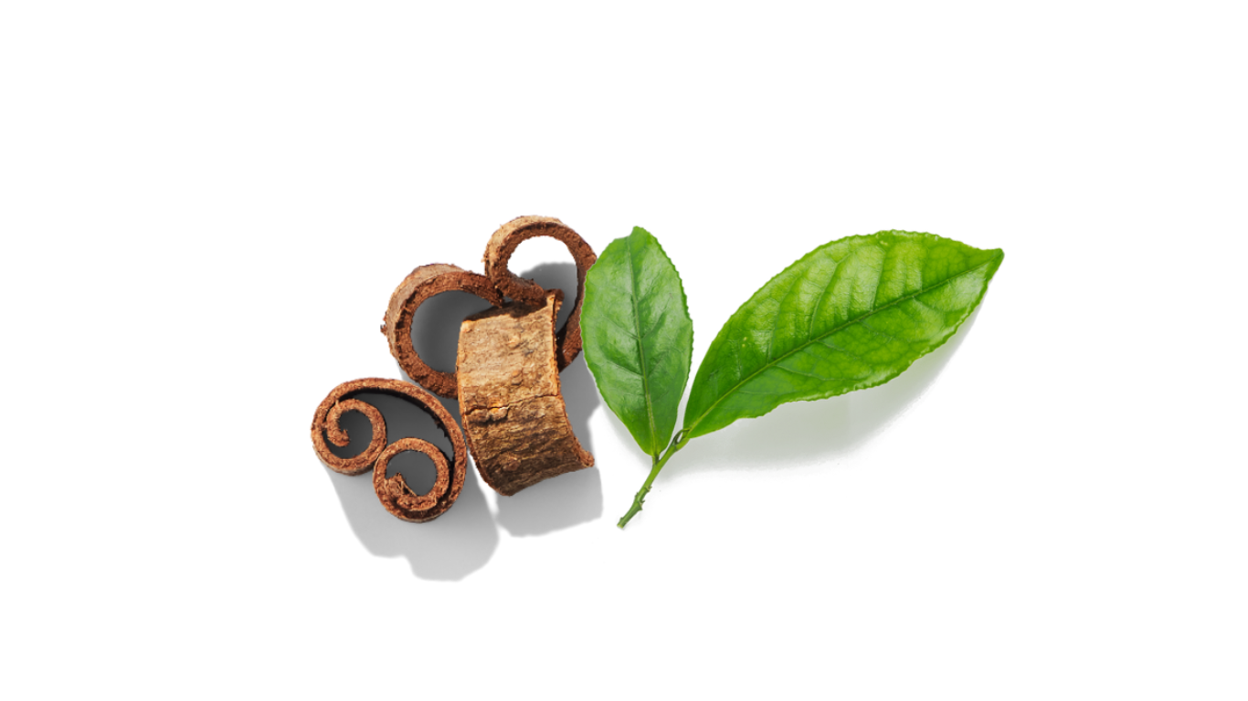 The Science of Calm: Why DHH-B and L-Theanine Work Better Together
